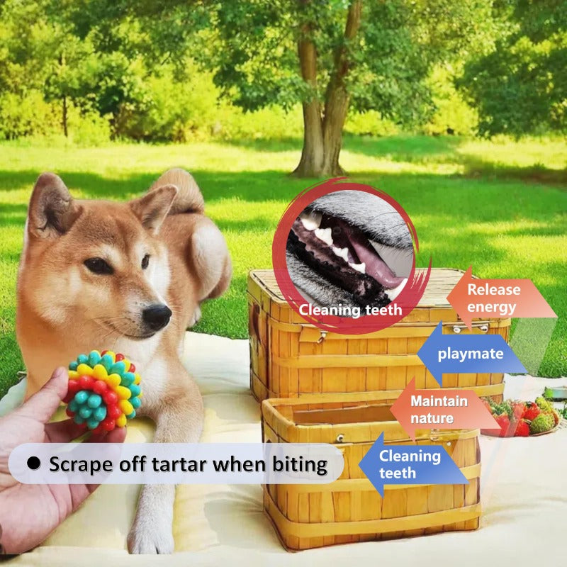 ChewClean™ Spiky Ball