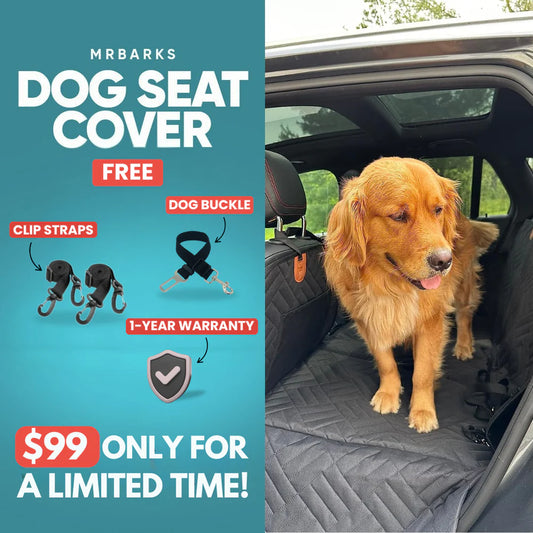 BackSeatSafe™ Dog Seat Cover